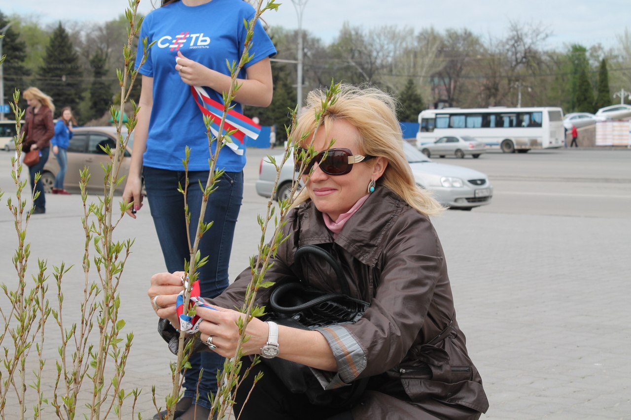 Активисты «Сети» помогут Крымчанам посадить тополя