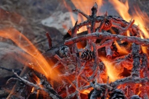 Для исключения пожаров не въезжайте в лес - Кукушкин