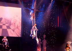 Цирк в Америке «уронил» акробатов: есть жертвы