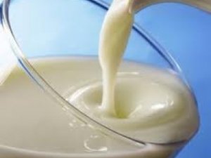 Европа не сможет спасти украинских молочников