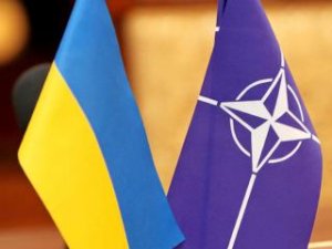 НАТО поможет Украине в реформе Вооруженных Сил