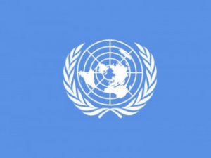Совет ООН одобрил резолюцию по Украине