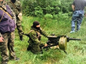 В Николаевке военные уничтожили 150 человек - Дмитрашковский