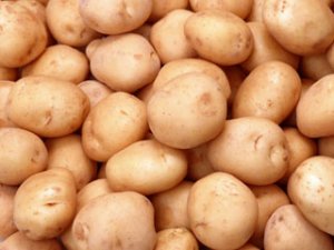 Белоруссия тоже отказалась от украинской картошки