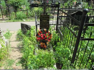 Гайдар и Романова собрали подписи «мертвых душ» на кладбищах