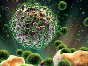 Вирус СПИДа впервые удалось удалить из ДНК человека
