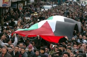 Демонстранты собрались поддержать Палестину у стен Белого Дома