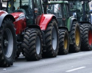 Акции протеста в Молдове: сельхозпроизводители требуют возмещения убытков
