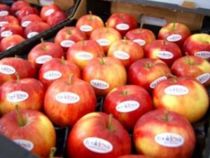 После запрета России, Польша предлагает свои яблоки США