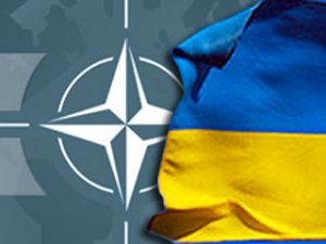 Украина вступает в НАТО – проект закона одобрило правительство