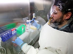 В России создана вакцина против лихорадки Эбола
