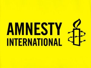 Украинские СМИ и военные не вызывают доверия у Amnesty International