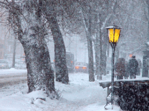 Полиция Норвегии просит жителей перестать жаловаться на снегопад