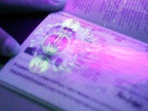 ЕС не пропускает граждан Украины по новым биометрическим паспортам. Билет в никуда – совсем по-украински