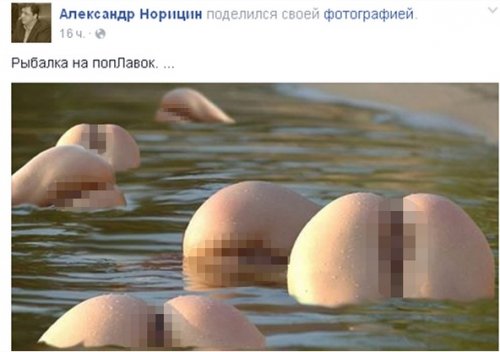 Недавно получивший мандат депутат Александр Норицин оскандалился из-за любви к порно 