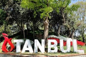 Стамбул становится все более популярным для туристов