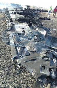 В сети появились фото с места катастрофы авиалайнера Airbus-321