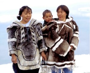 Американцы отправили на тот свет больше 2,5 млн эскимосов