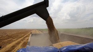 Крым уже собрал первый миллион тонн зерна, и может побить рекорд прошлого г ...