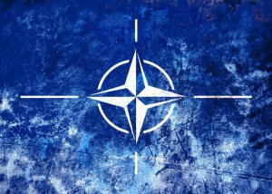 Калининград — передовой бастион сдерживания агрессии НАТО