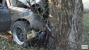 Водитель протаранил дерево в Ростове и погиб