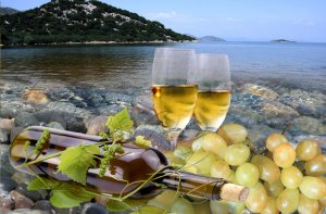 Ученые выяснили, что польза вина зависит от способа его изготовления и места произрастания винограда