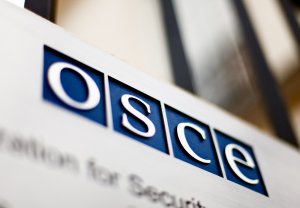 ОБСЕ: не менее 10 тысяч человек из стран организации стали боевиками ИГ