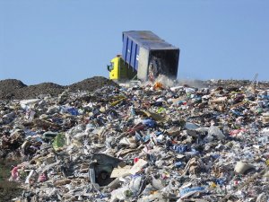 5 пилотных заводов по переработке мусора построят в рамках нацпроекта «Чистая страна»