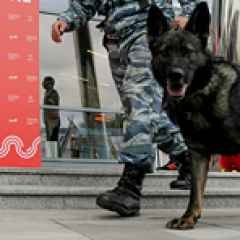 В Симферополе “террорист” угрожал взорвать питейное заведение