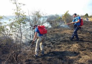 В Крыму под Судаком 50 гектаров, объятых пожаром, тушат третий день