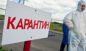 В Орловской области объявили карантин по бешенству
