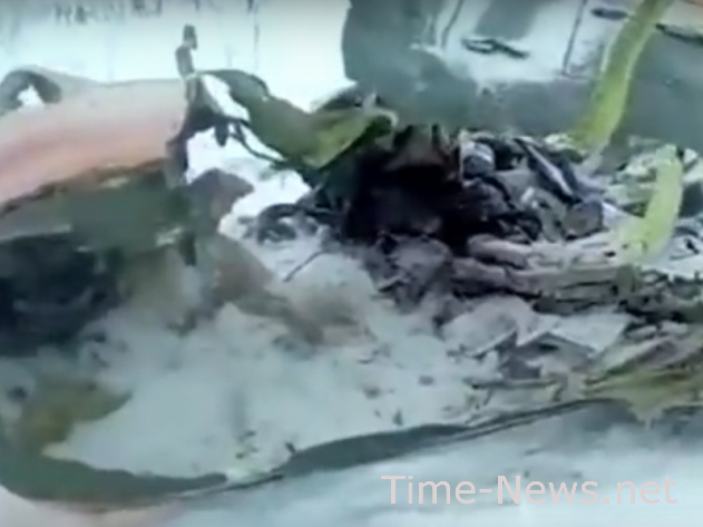 71 человек погиб при крушении Ан-148 в «Домодедово»