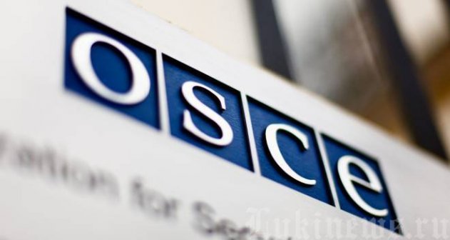 50 наблюдателей ОБСЕ проследят за порядком на выборах в Иркутске