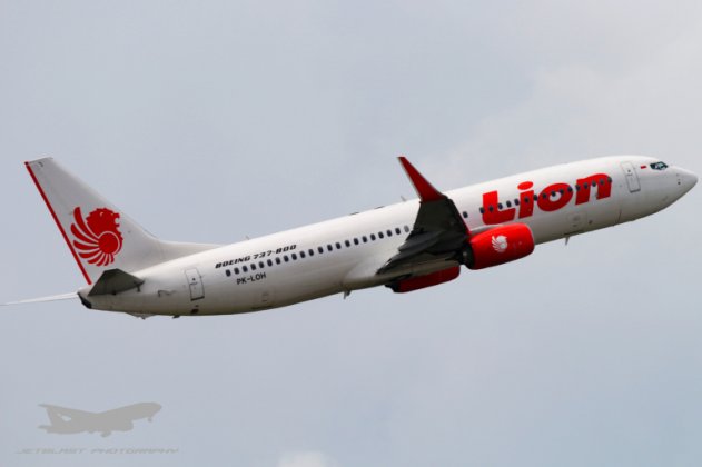 В Индонезии разбился Boeing 737 с пассажирами на борту