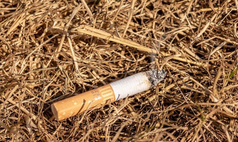 Минздрав и МЧС планируют ужесточить требования к производителям сигарет