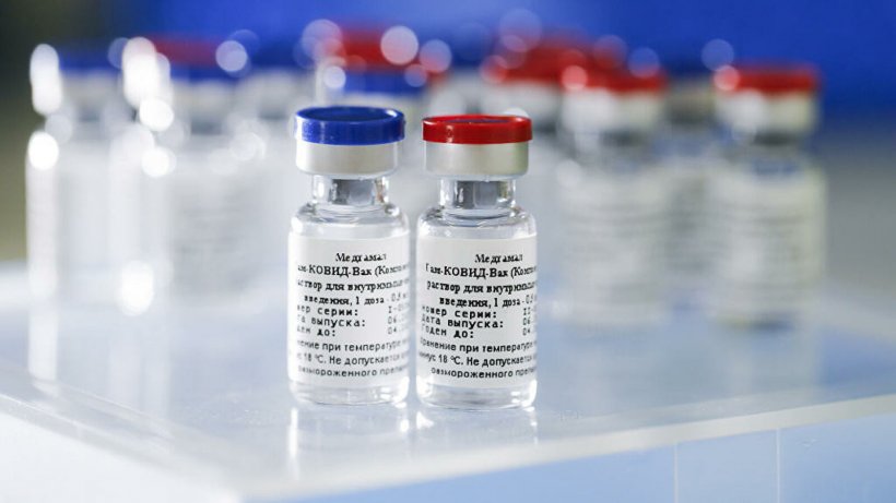 Европейское ЕМА начало проверку российской вакцины Спутник-V