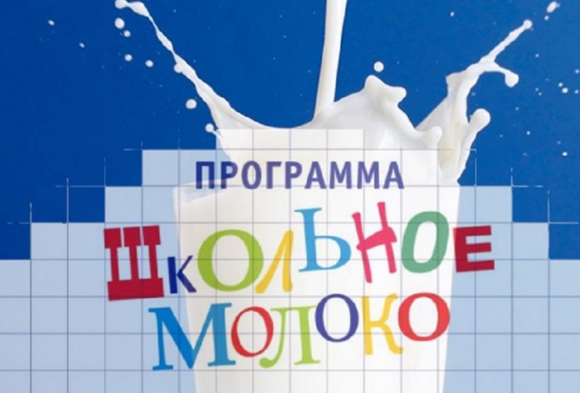 В Петербурге федпрограмма «Школьное молоко» может угрожать здоровью детей