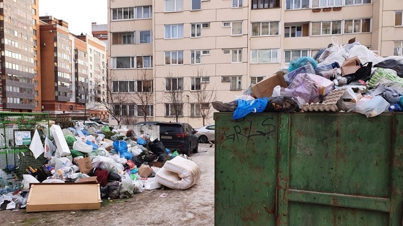 Эколог Виноградов указал на грубейшие нарушения в ходе мусорной реформы в Петербурге