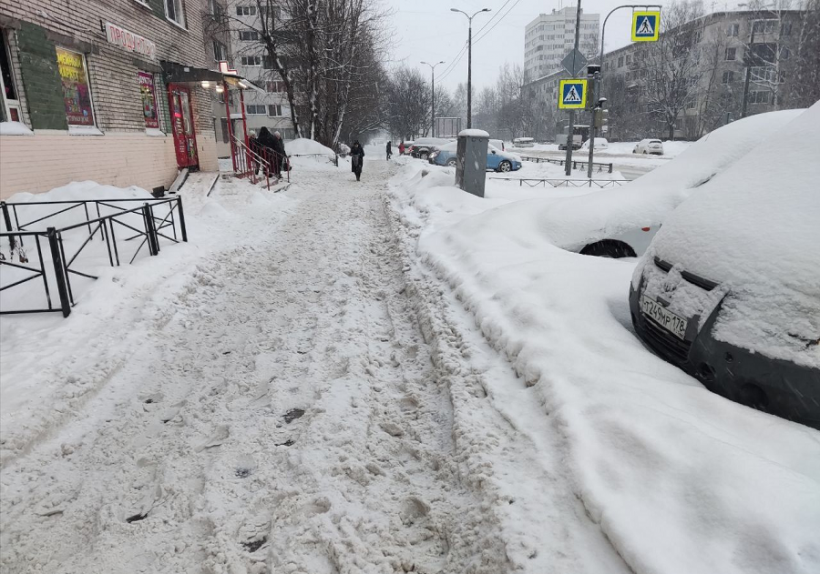 Петербургские коммунальные службы не смогли справиться с небольшим снегопадом в городе