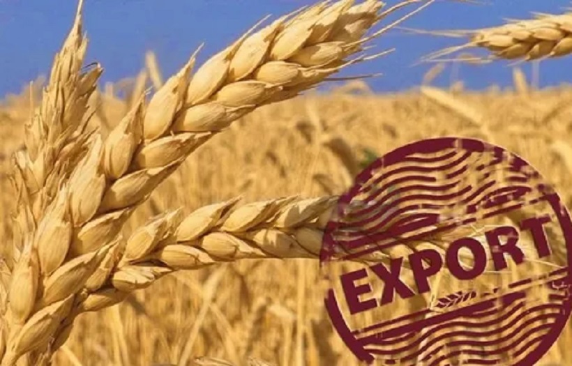Россия готова заменить украинское зерно на мировом рынке