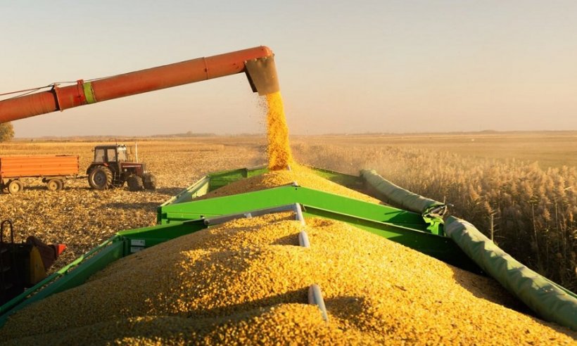 В Кремле прокомментировали возвращение России в зерновую сделку