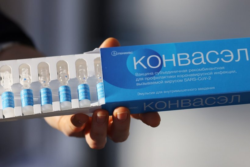 «Конвасэл» – новая вакцина от ковида в России, которая эффективна и от последних штаммов 