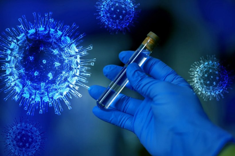 Вакцина «Спутник V» от коронавируса больше не помогает. Какие дальше планы у пандемии?