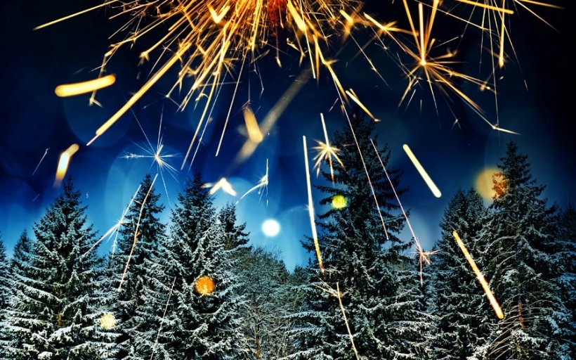 Уже более 20 регионов России отказались от салюта и фейерверков на Новый год