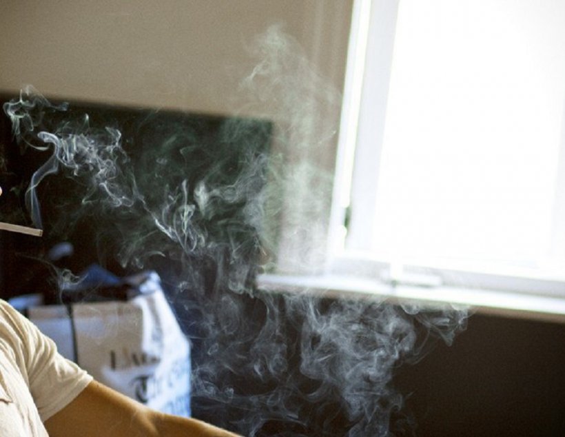 «Папа что-то курит, а потом в квартире плохо пахнет»: в Зеленограде девочка ...