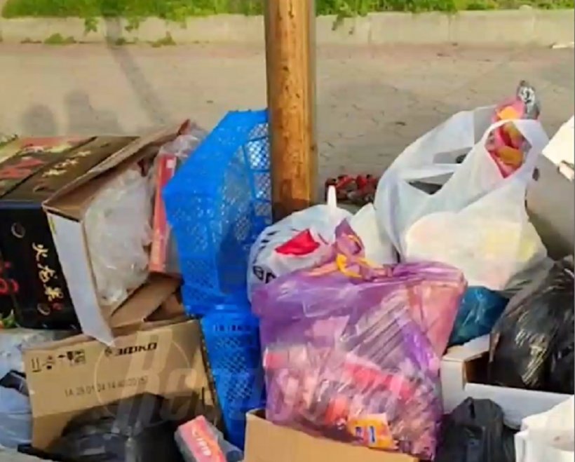 Мусорный коллапс в Махачкале и запах гниющих отходов: сотрудники мусороуборочных компаний сокращены после теракта в «Крокусе»