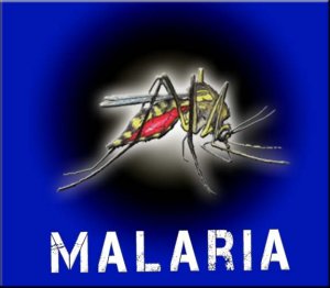 Смертельная малярия добралась до Украины