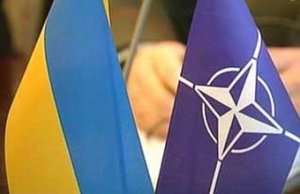 Ассамблея парламента НАТО приняла решение об окончании совместной работы с  ...