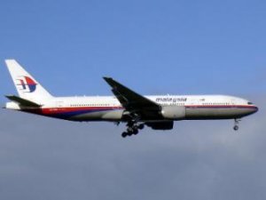 В авиакатастрофе Боинга 777 погиб выдающийся ученый Юп Ланге.