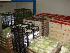 Россия вводит запрет на польские овощи и фрукты